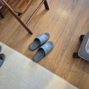 칠십리호텔 | 서귀포 호텔 파크선샤인 제주 내돈내산 헐리우드 발코니 더블룸 컨디션 그리고 로비라운지 해모루