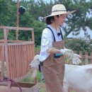 지민목장 이미지