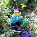 숙이와 목이 이미지