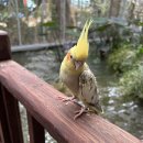 경주 버드파크 내돈내산 후기 :) 아이와 가볼 만한 곳 추천 🦜