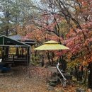 관광 꿈꾸는숲 펜션 | [양양 꿈꾸는계곡 펜션&amp;캠핑장]방갈로·오토캠핑·펜션까지! 모든 타입이 있는 캠핑장