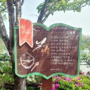 풍암호수작은도서관 이미지