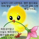 강릉초등학교 네이버블로그