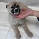 정남119안전센터-1 이미지