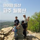 씨름장 화장실 | 아이랑 등산 파주 월롱산 난이도 철쭉축제 기간 위치 주차장