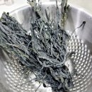 양지로1C 이미지