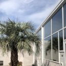 비에노즈 이미지