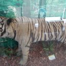 전라북도산림박물관 이미지