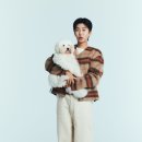 행복한개 이미지