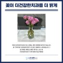 더건강한 이미지