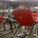 에스투짐 이미지