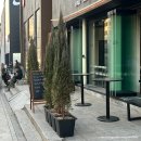 도산아래 BAR BLACK