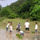 스테이 촌 이미지