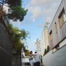 [w15. 플라워 디렉팅(1) : 업체 선정기]
