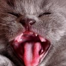 투게더 동물병원 이미지