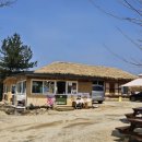 하회마을 | 영유아와 안동 하회 장터, 하회 마을 여행 후기