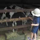 일구목장 이미지