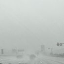 삽시도통나무펜션 이미지