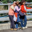 양천초등학교 이미지