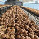 수현농장 이미지