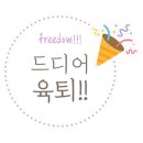 꼬메로 이미지