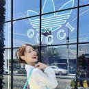 더클라라 이미지