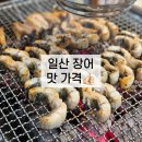 일산 장어 여자만 숯불장어구이 상세후기