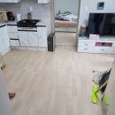 부천-오정-부천-6호 이미지