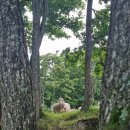 마루목장 | 대관령 양떼목장 다녀 온 후기 🐑 🐑