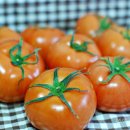 토마토피아 네이버블로그