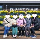 에코25시영농조합법인 | 제주 자유 패키지 투어 추천 렌터카 숙소 관광지까지 한 번에