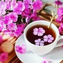 토요일, 일요일 이미지