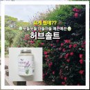 동산농장 | 허브동산[허브솔트]구입 동기 및 후기! 요것 참 좋네?