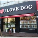 아이러브독 강아지분양 부천점 이미지