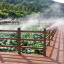 정양늪생태공원 이미지