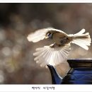 아름다운연출 이미지