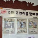 인천 영흥도 뚜벅이 여행] 인천 야외 힐링스팟 '고양이역' 방문 후기: 아픈 고양이들을 위한 특별한 보호소
