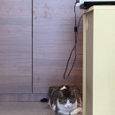 모두다잇소 | [담장너머책방] 셀프 인테리어 시작 #1 벽지 페인팅