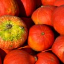 개포2동주민센터 이미지