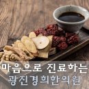 광진기전 이미지