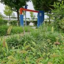 능허대공원 이미지