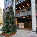 푸앵드리 이미지