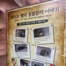 명바위농산 | [용인] 추석 연휴 첫날 에버랜드 오후권 상세 후기