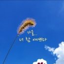 커피숲 이미지