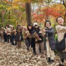 잠월미술관 이미지