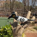 남산길 | 4월 남산데이트 코스 후기｜남산 하늘숲길, 남산타워, 가마솥족발순대국, 명동성당, 미미면가