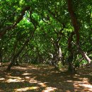 항아리집 이미지