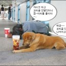 송탄개발위원회 9월 정기 월례회를 개최 합니다.(2011.09.06) 이미지