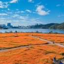 용인조정경기장 네이버블로그