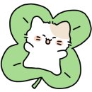 일성크리닝 이미지